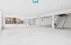 Spa?iu comercial 200mp + 90mp mansarda - Cantemir - 6