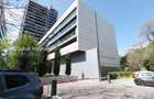 Apartament cu 2 camere decomandat în Arcul de Triumf - 20
