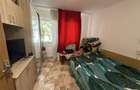 Camera de camin Lapus Arges parter - 4