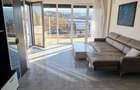 Penthouse, 2 cam 120 mp terasa 60+60 terasa Europa/Zorilor - 6
