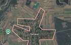 teren extravilan comuna gradinari sat tantava - 2