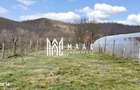 Casa 3 camere I Curte 814mp I Pivnita I Garaj I Axente Sever - 18