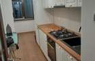 Apartament 3 camere A. Panu - 5