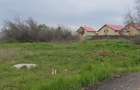 Murfatlar- teren 400mp/13m langa padure - 1