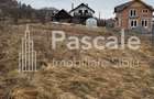 Teren de vanzare Zona premium Tocile, Sadu-Sibiu - 4