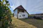 Casă cu 6 camere cu Teren 5351 Mp în Dănești - 3