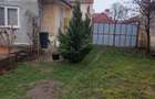 Casă cu 2 camere în Central - 1