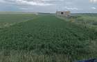 Vand teren intravilan - 1