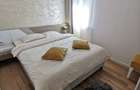 Apartament cu 2 camere de inchiriat in zona bld dorobantilor - 2
