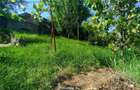 Casă cu Teren 300 Mp în Muncitoresc - 9