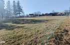 Teren de vanzre Horodniceni Suceava - 3