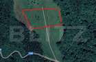 Teren extravilan de vanzare, 2,4 hectare, zona drumul Tarpiu - 2