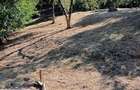Casă cu 5 camere în Vatra Satului - 9
