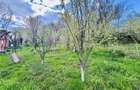 Casa individuala de vanzare in Nucet | Rosia | teren 747 mp | livada, - 15