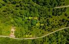 Teren intravilan de 14400 mp, în Cheile Râșnoavei - 6