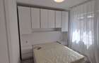 Apartament 1 cameră 28 mp 47500 euro Lunca Cetatuii - 8