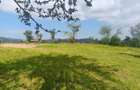 Casă individuală cu 3 camere cu Teren 5000 Mp în Exterior Nord - 10