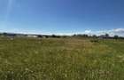 Teren agricol de vanzare, 400 mp, zona linistita - 7