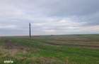 -teren extravilan, com. Satchinez, jud. Timis - 3