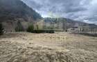 TEREN INTRAVILAN 500 MP SATIC- RUCAR - 12