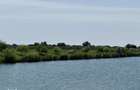 Balta de Pescuit | Cabana din Busteni | Teren 6,37 ha | langa Oradea - 5