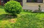 Casa in Cantemir cu 3 dormitoare, living, bucatarie, 2 bai,teren 475mp - 4
