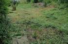 Casă cu 2 camere cu Teren 700 Mp în Moara Vlăsiei - 5