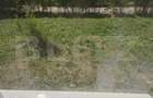 Apartament modern cu 3 camere, 69 mp, parter, balcon, Apahida - 7