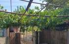 De vanzare,casa la tara - 3