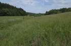 Teren de vanzare in localitatea Vladeni comuna Dumbravita judetul Brasov - 1