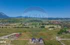 Teren Tohanu Nou, intrare Sohodol, 4800mp - 15