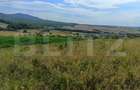 Teren extravilan, de vanzare, 6500 mp, zona Crasnei - 6