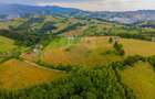Teren Construcții de 11600 mp, în Poiana Mărului - 5