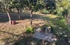 Casa de vanzare in orasul Mizil,str decebal 1224 MP Nr 17 - 6