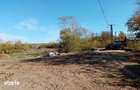 Cota de 1/4 dinteren extravilan- com. Buzoesti, jud. Arges - 6