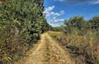 ?inca Noua 8.439 mp pentru agricultura, apicultura ?i investi?ie - 2