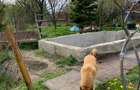 Casă cu 5 camere în Clinceni - 5