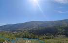 Teren 5330 m2 Baile Herculane din 2 CF-uri sau achizitie separata - 3