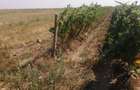7400mp 1.4 eur Odobesti (VN) centru 3km asfalt - 2