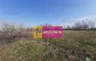 Teren de 4800 mp, în Glina - 7