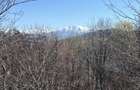 Teren intravilan la munte (2938 mp, cu padure si parau), la doar 15 minute de Sibiu, zona superba - 2