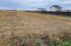 Teren de Vanzare. Investitie Casa. 5000 m2. 36km de Bucuresti (A1). Gaiseni, Giurgiu - 3