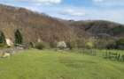 Teren intravilan Closani, 8674 mp pensiune/ casa vacanta - 2