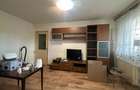 VIGAFON - Apartament 2 camere Cosminele - 3