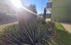 Apartament cu 2 camere decomandat în Tractorul - 5