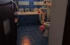 Casa unica in Brani?te - 2 apartamente independente + Mansarda - 12