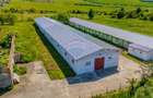 Spațiu industrial, de 700 mp, în Teliu - 16