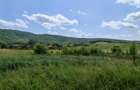 Teren intravilan de 7800 mp, în Dobârlău - 2
