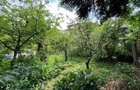 0 % comision, Casa cu 394 mp teren situata in zona Belvedere - 5