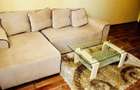 Inchiriere apartament cu 2 camere in zona Dristor - 2